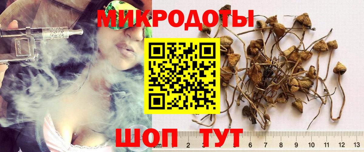 Псилоцибиновые грибы мухоморы  Вход с VPN  Чита  Галлюциногенные грибы ЛСД 