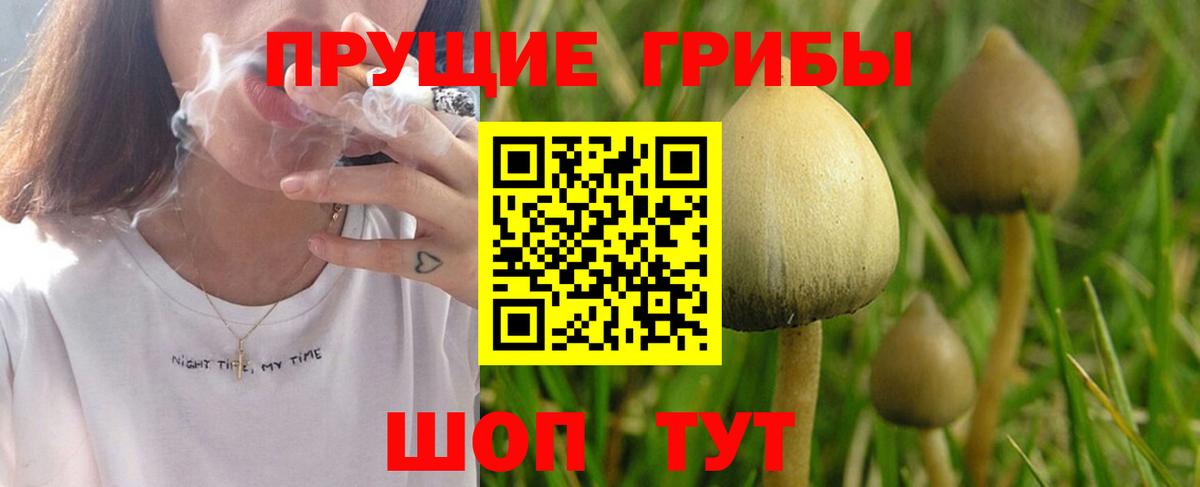 Псилоцибиновые грибы ЛСД Чита